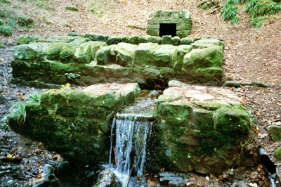 St Antony's Well